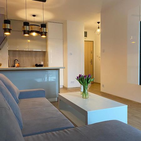 Comfortable Apartaments & Free Parking Gorzów Wielkopolski Eksteriør billede