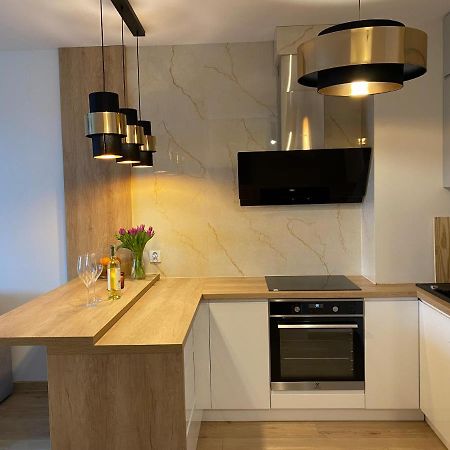 Comfortable Apartaments & Free Parking Gorzów Wielkopolski Eksteriør billede