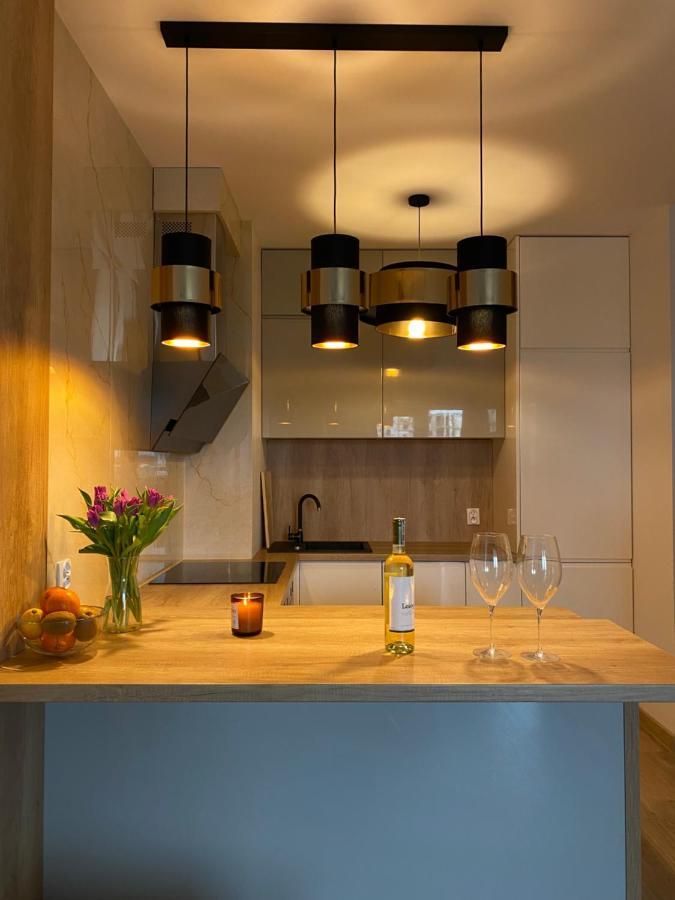 Comfortable Apartaments & Free Parking Gorzów Wielkopolski Eksteriør billede