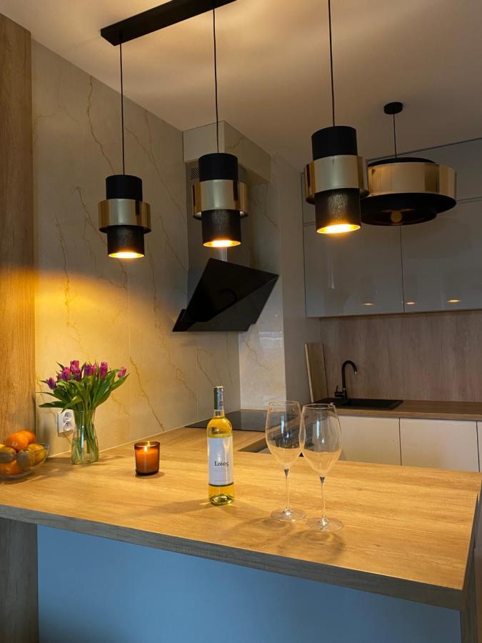 Comfortable Apartaments & Free Parking Gorzów Wielkopolski Eksteriør billede