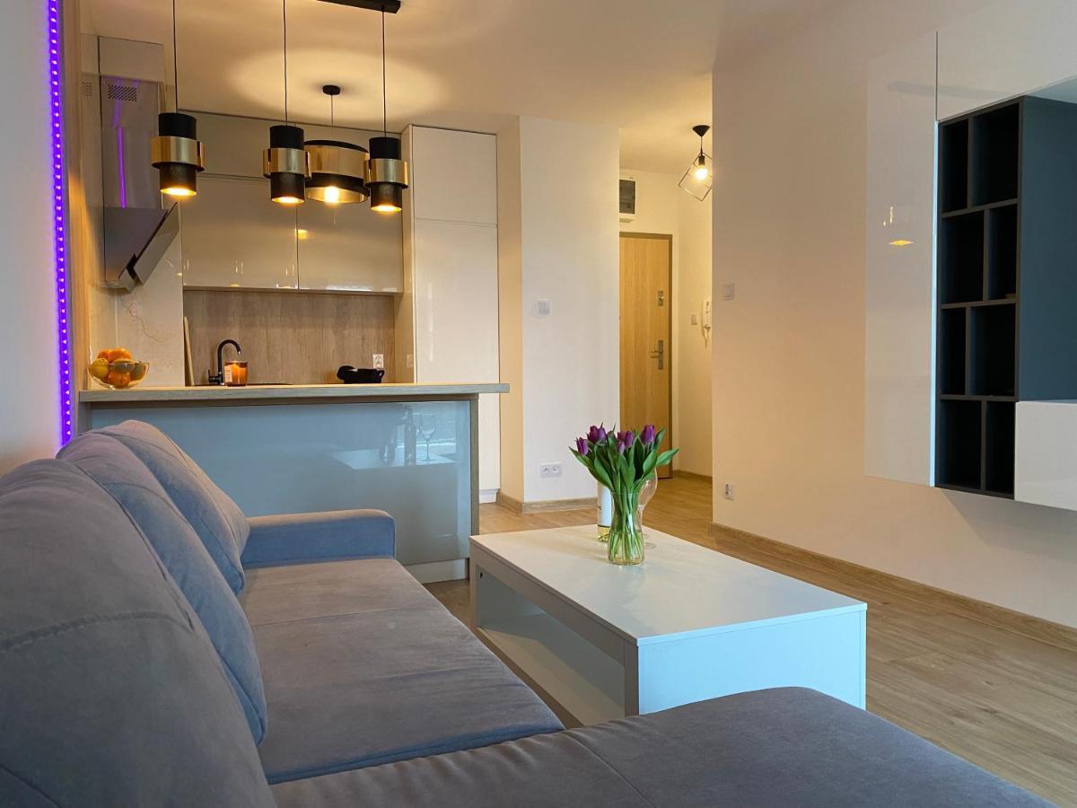 Comfortable Apartaments & Free Parking Gorzów Wielkopolski Eksteriør billede