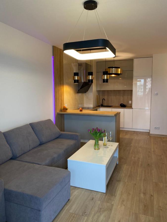 Comfortable Apartaments & Free Parking Gorzów Wielkopolski Eksteriør billede